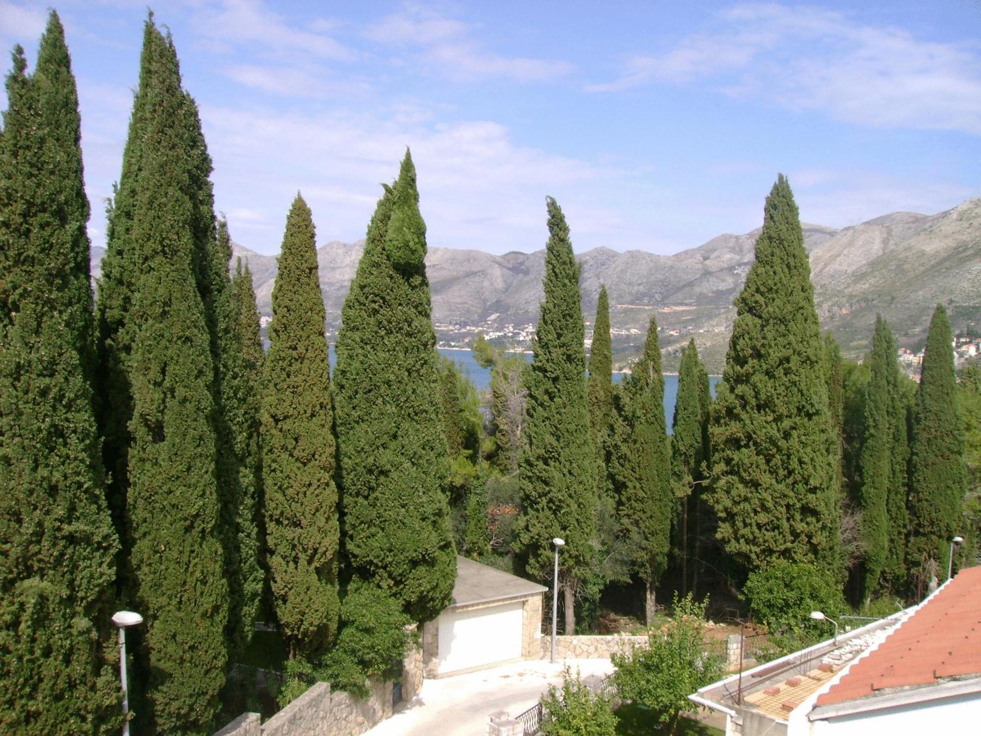 Villa Anka Cavtat Exterior photo